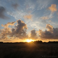 /album/galerie-de-photos-galerie-photos/frida-dumont-img-3112-jpg/